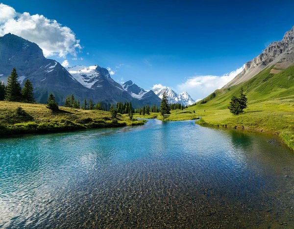 Discover the hidden gems of the british monarchy: engaging palace tours exploring royal heritage